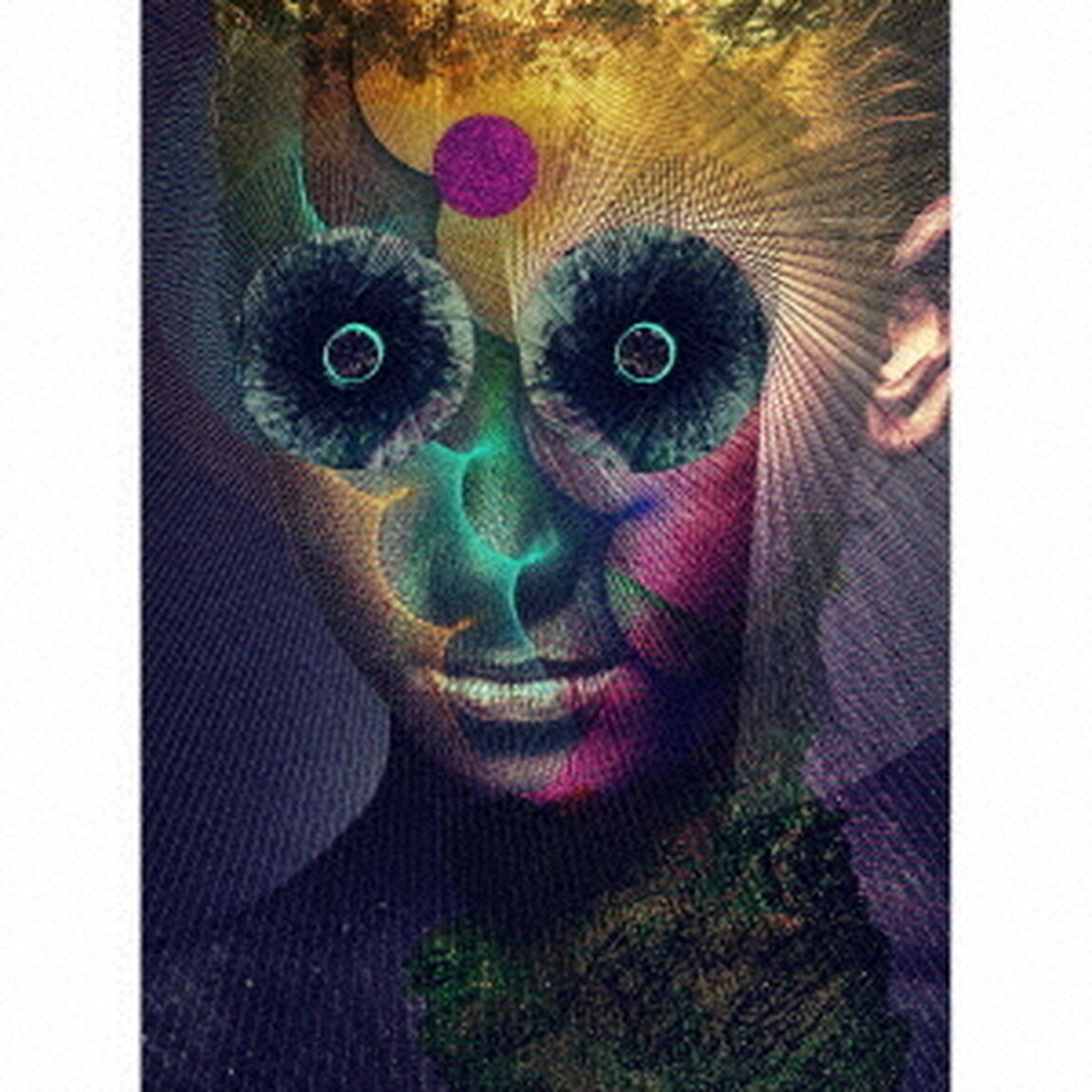 THE　INSULATED　WORLD（ＣＤ）
