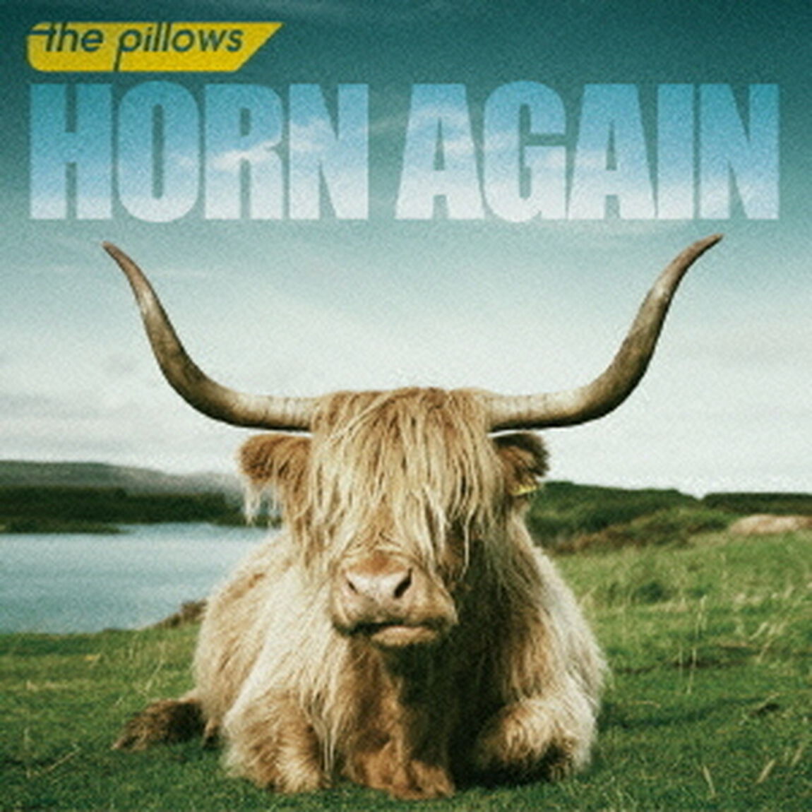 HORN　AGAIN（ＣＤ）