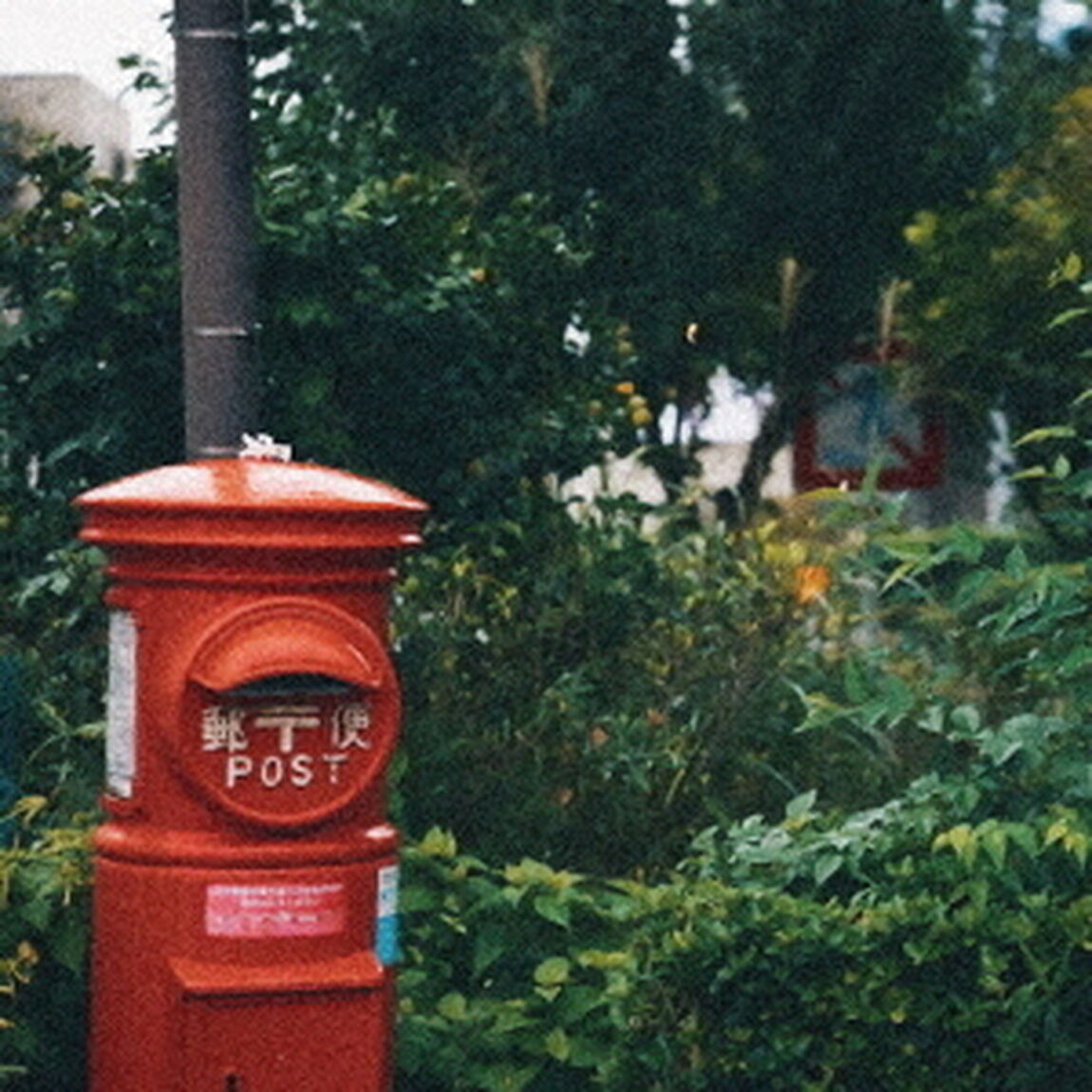 手紙（ＣＤ）
