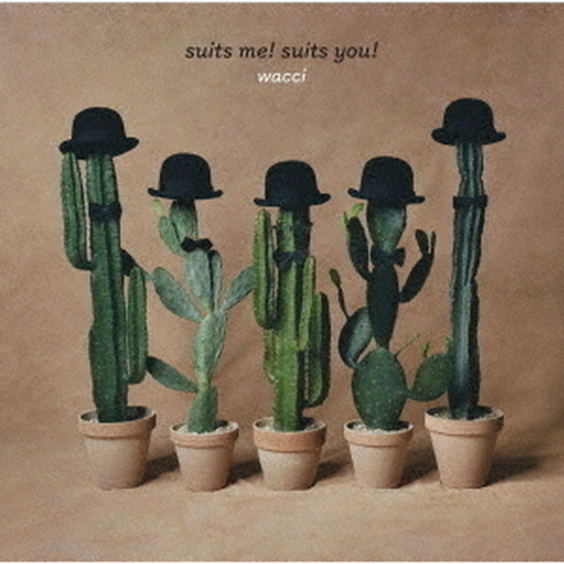 wacci／suits me! suits you!（通常盤／CD）（ＣＤ）
