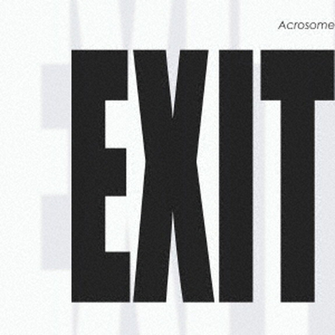 EXIT　ep（ＣＤ）