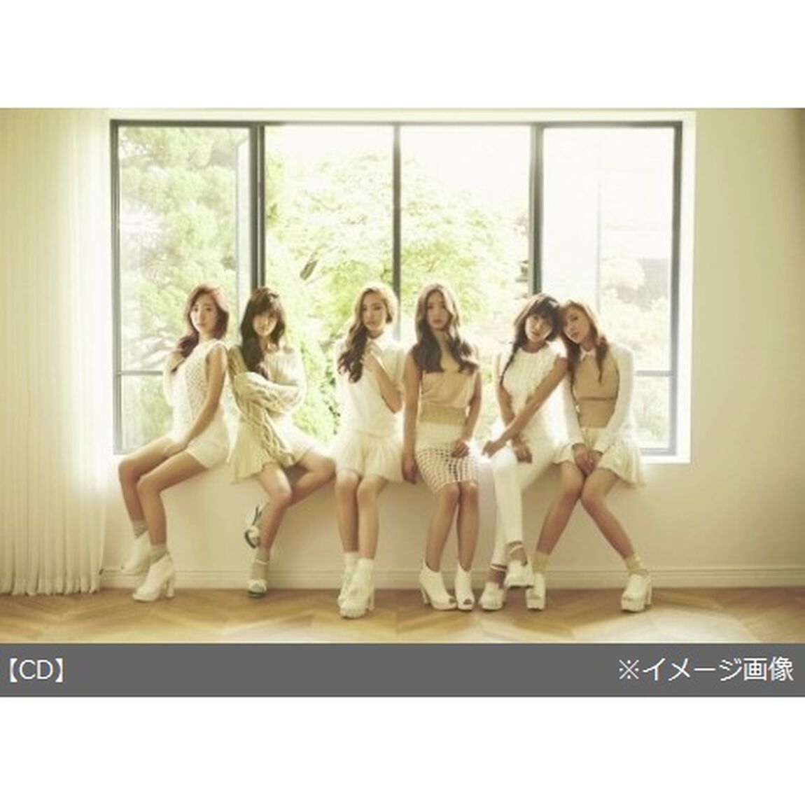 Apink／6TH MINI ALBUM : PINK UP (B VERSION)（輸入盤）（ＣＤ）