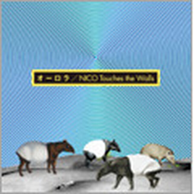 オーロラ（ＣＤ）