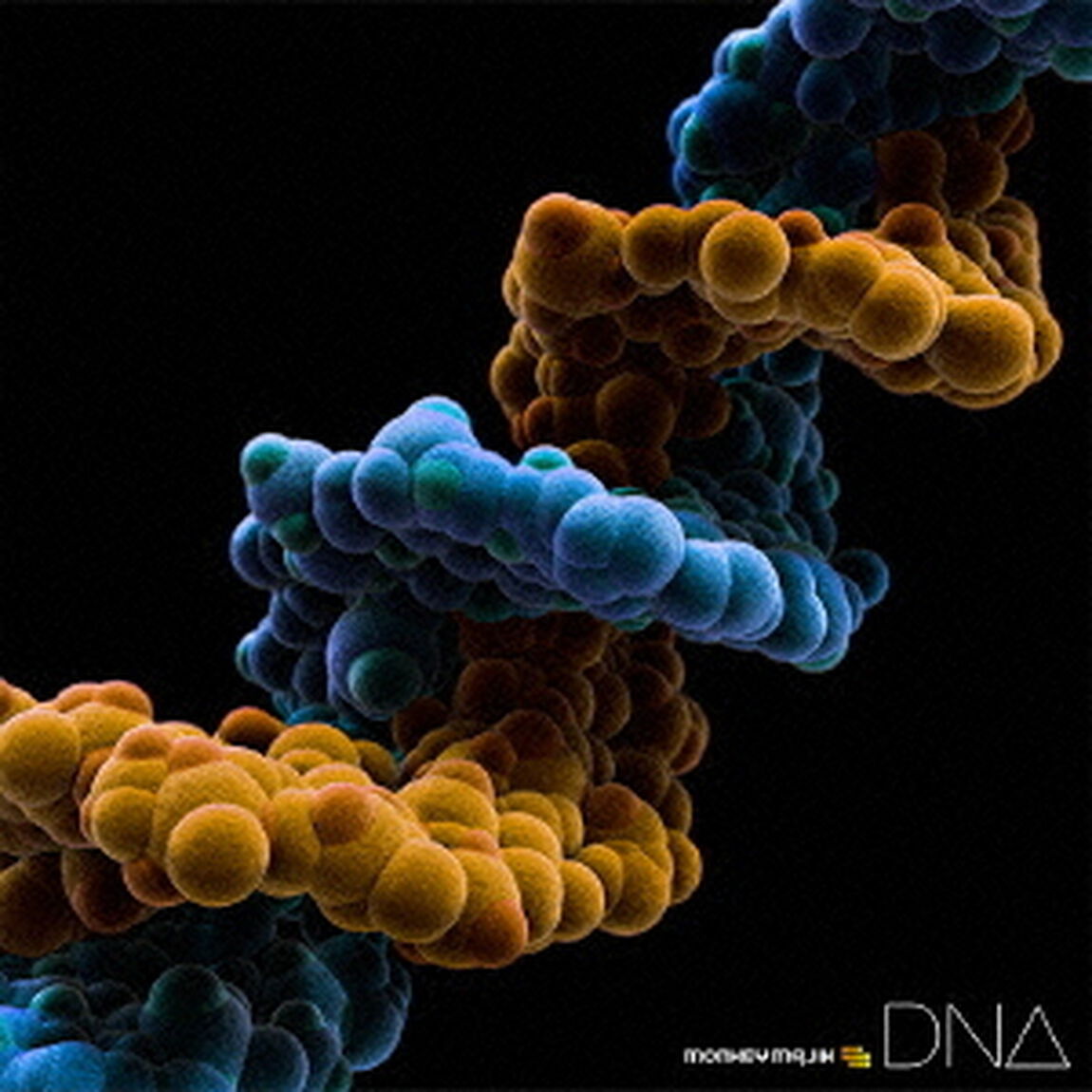 DNA（ＣＤ）
