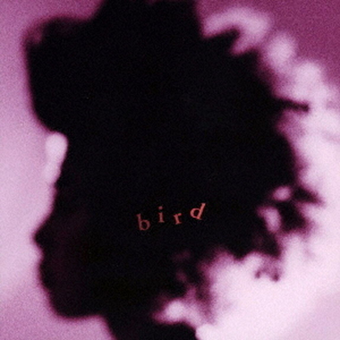 bird（ＣＤ）