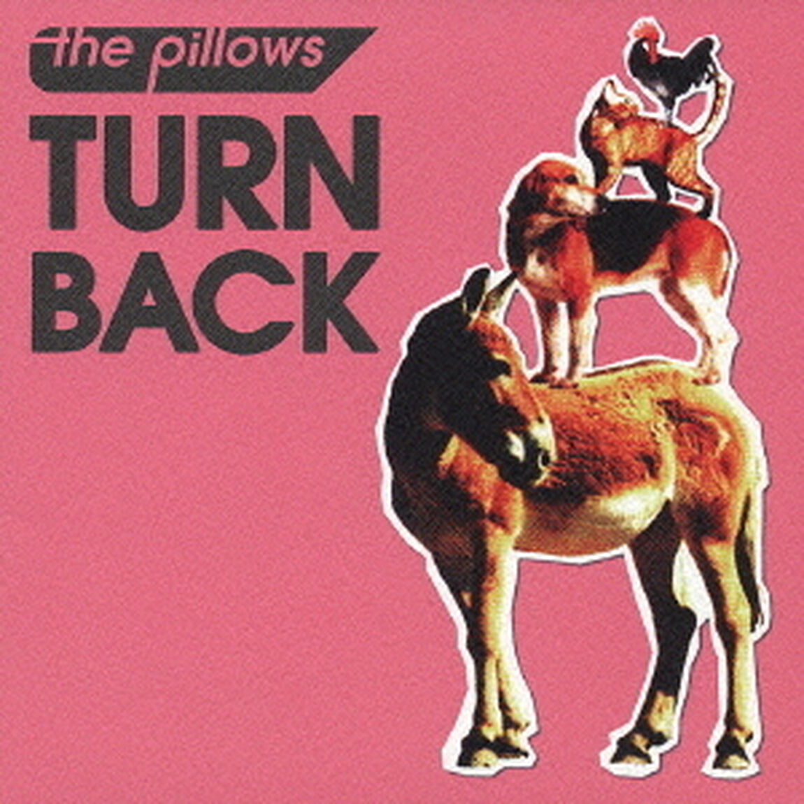 TURN　BACK（ＣＤ）