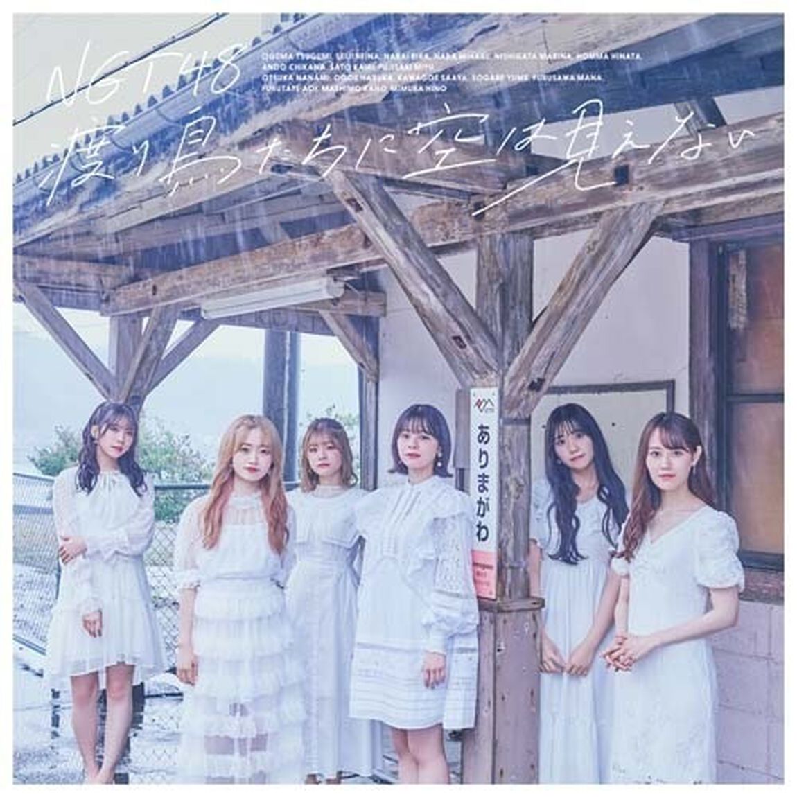 NGT48／渡り鳥たちに空は見えない（Type-B）（セブンネット限定特典：生写真）（CDシングル）