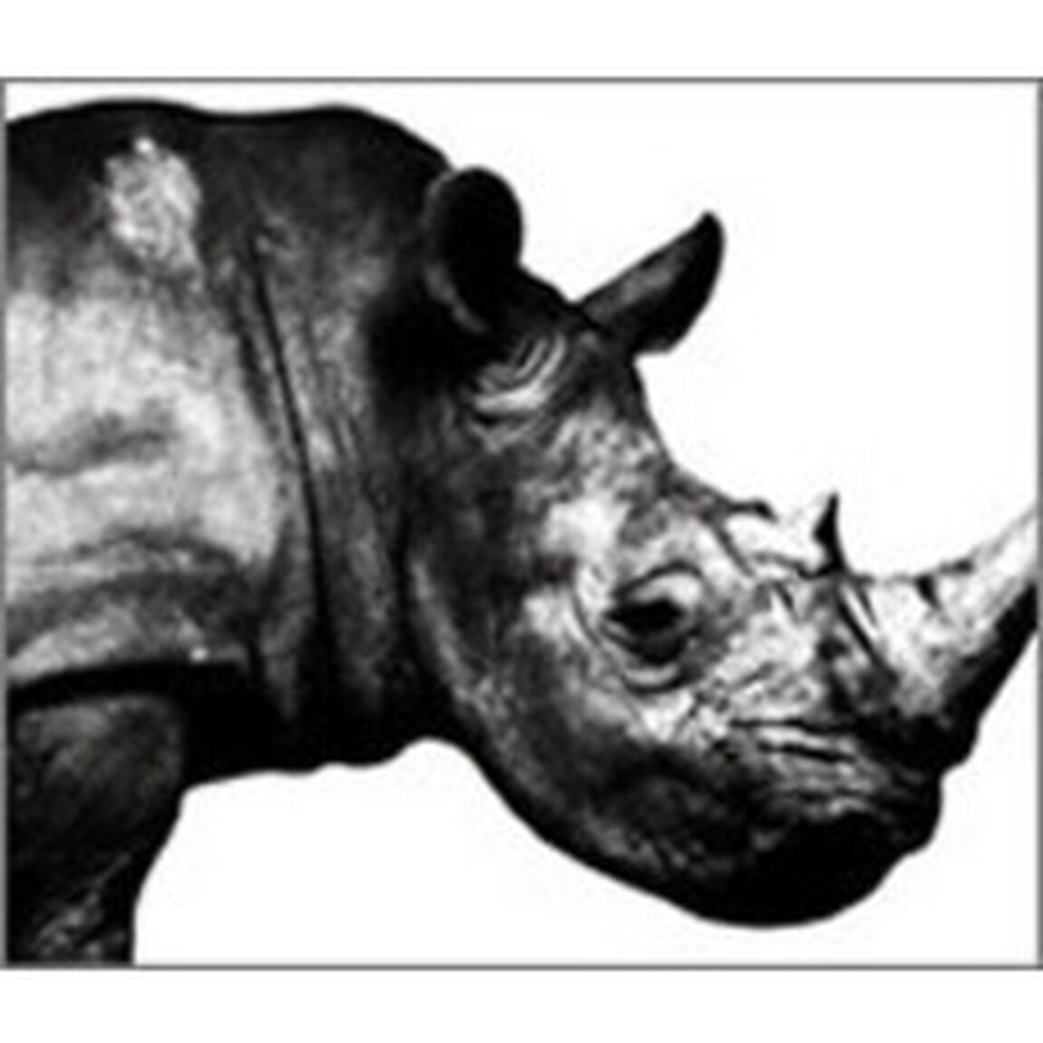 Mr．Children　1992－1995（ＣＤ）