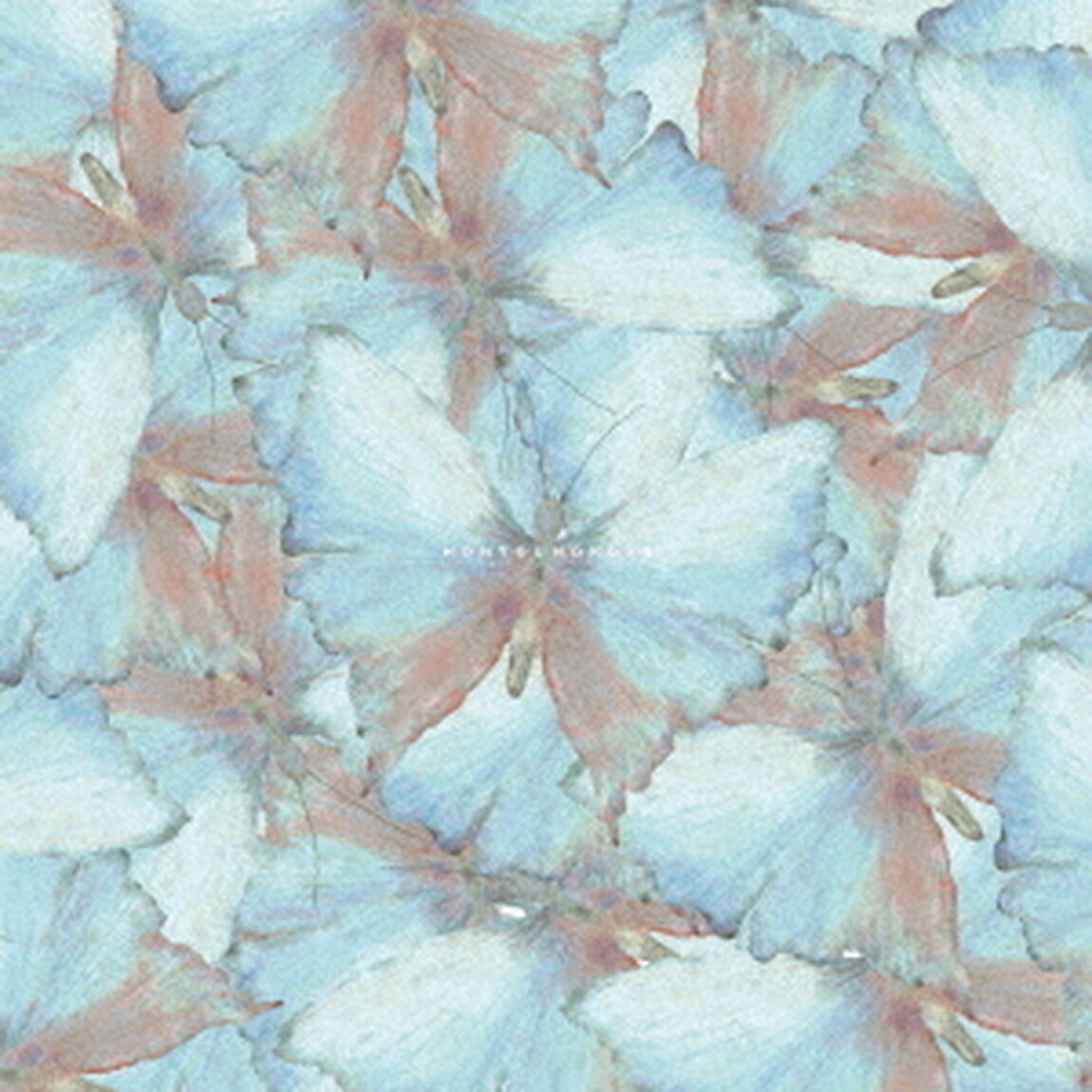 hontounokoto（ＣＤ）