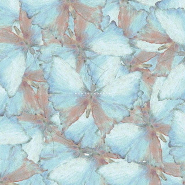 hontounokoto（ＣＤ）