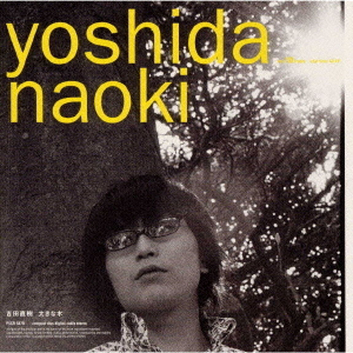 大きな木（ＣＤ）