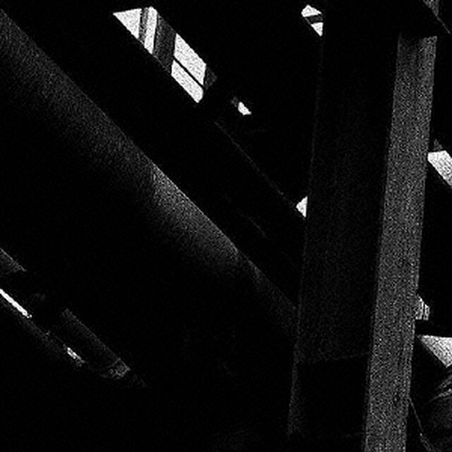machinic　phylum（ＣＤ）