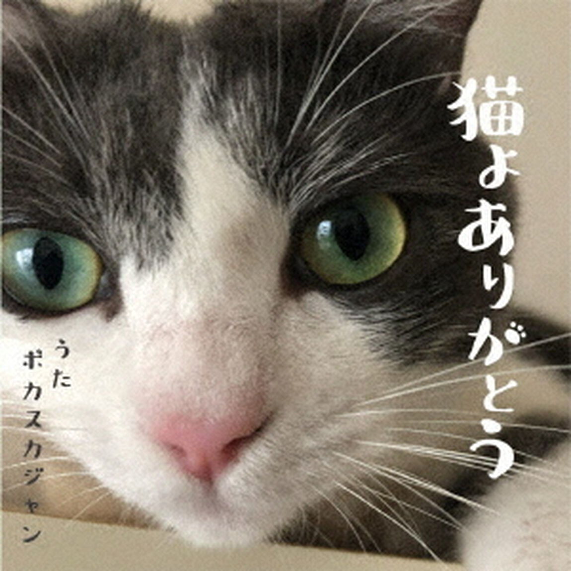 猫よありがとう（ＣＤ）