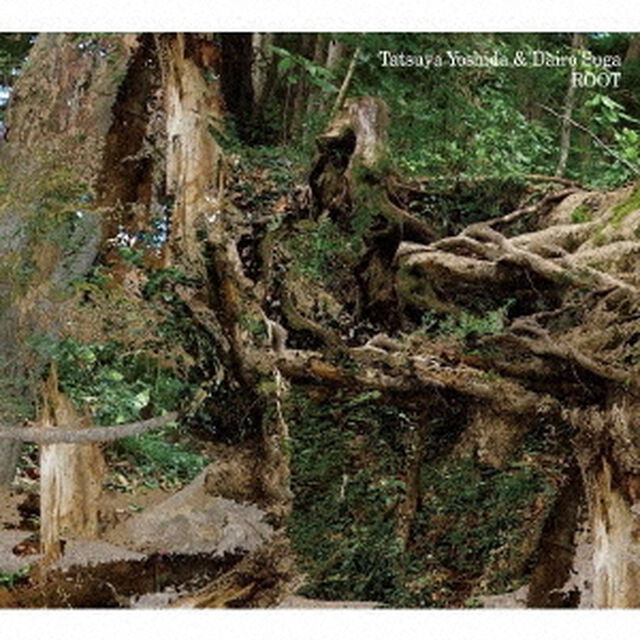 ROOT（ＣＤ）