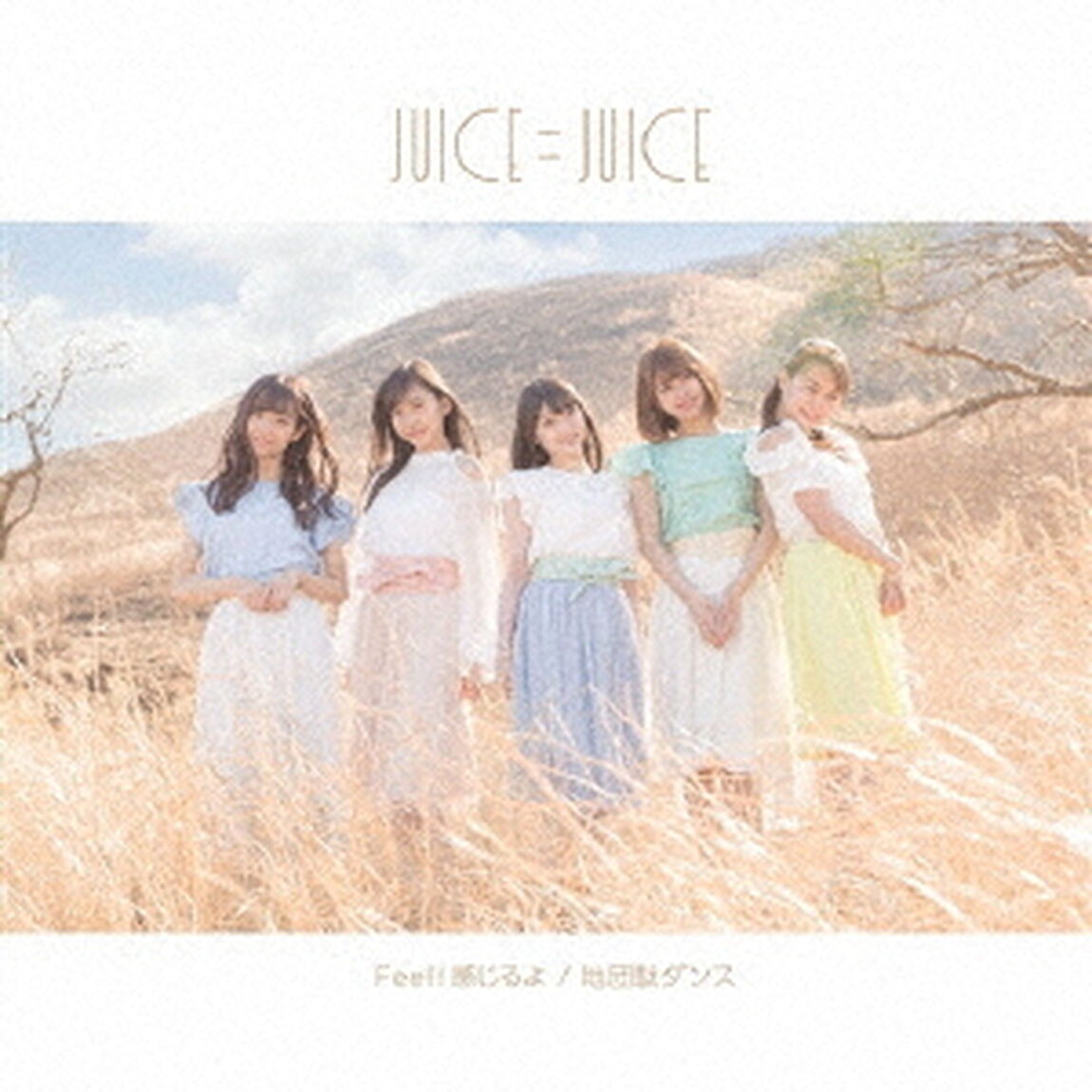 地団駄ダンス／Feel！感じるよ（通常盤B）（CDシングル）