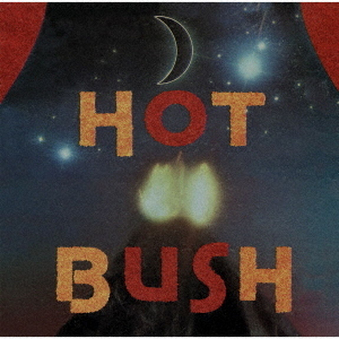ホット・ブッシュ（ＣＤ）