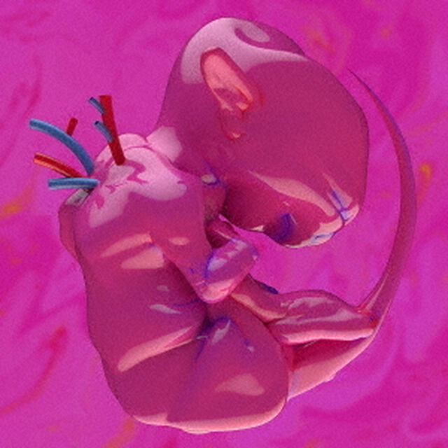 春ねむり／ekkolaptomenos（CD）（ＣＤ）