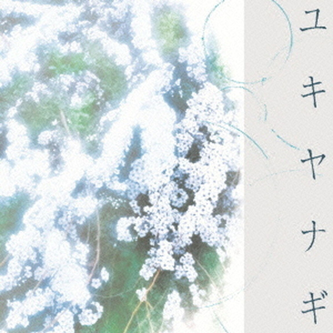ユキヤナギ（ＣＤ）