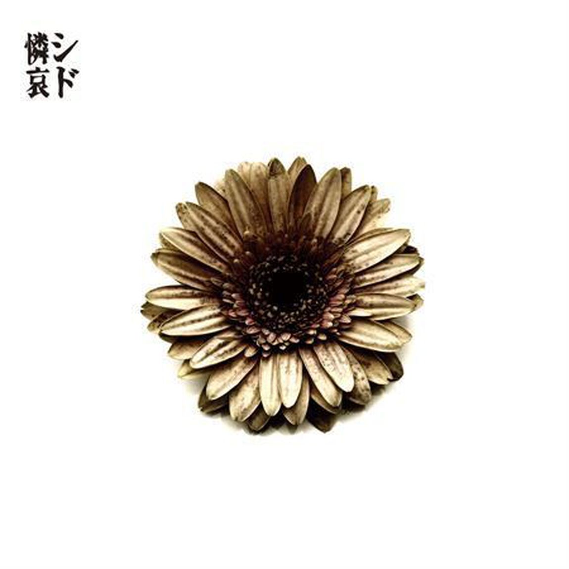 憐哀－レンアイ－（ＣＤ）