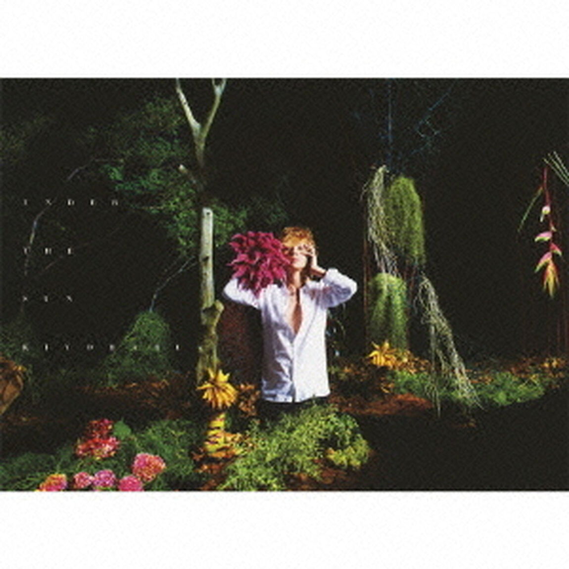 UNDER THE SUN（DVD付）（ＣＤ）