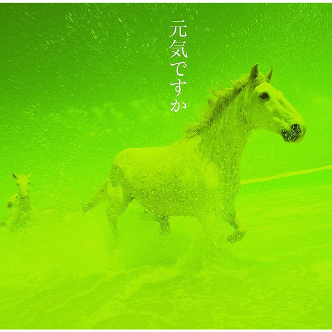 中島みゆき／元気ですか（旧譜キャンペーン特典：クリアファイル（A4））（ＣＤ）