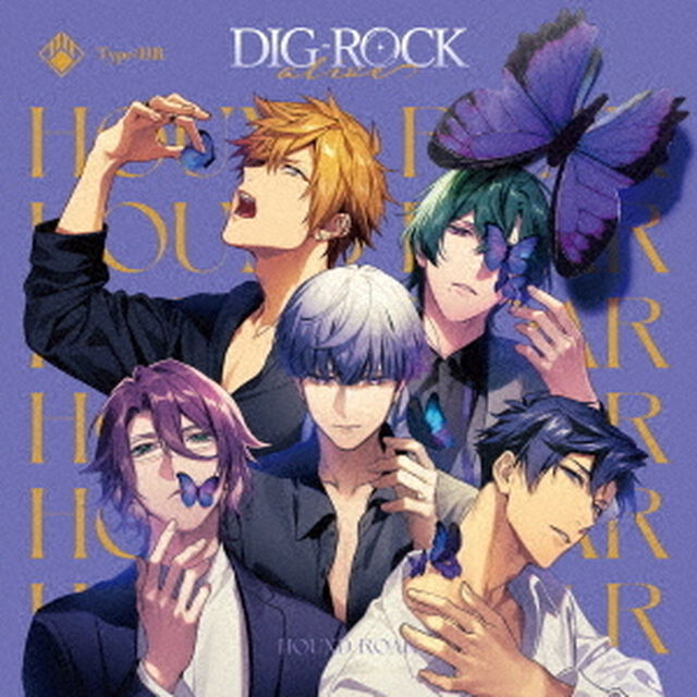 DIG－ROCK　－alive－　Type：HR（ＣＤ）