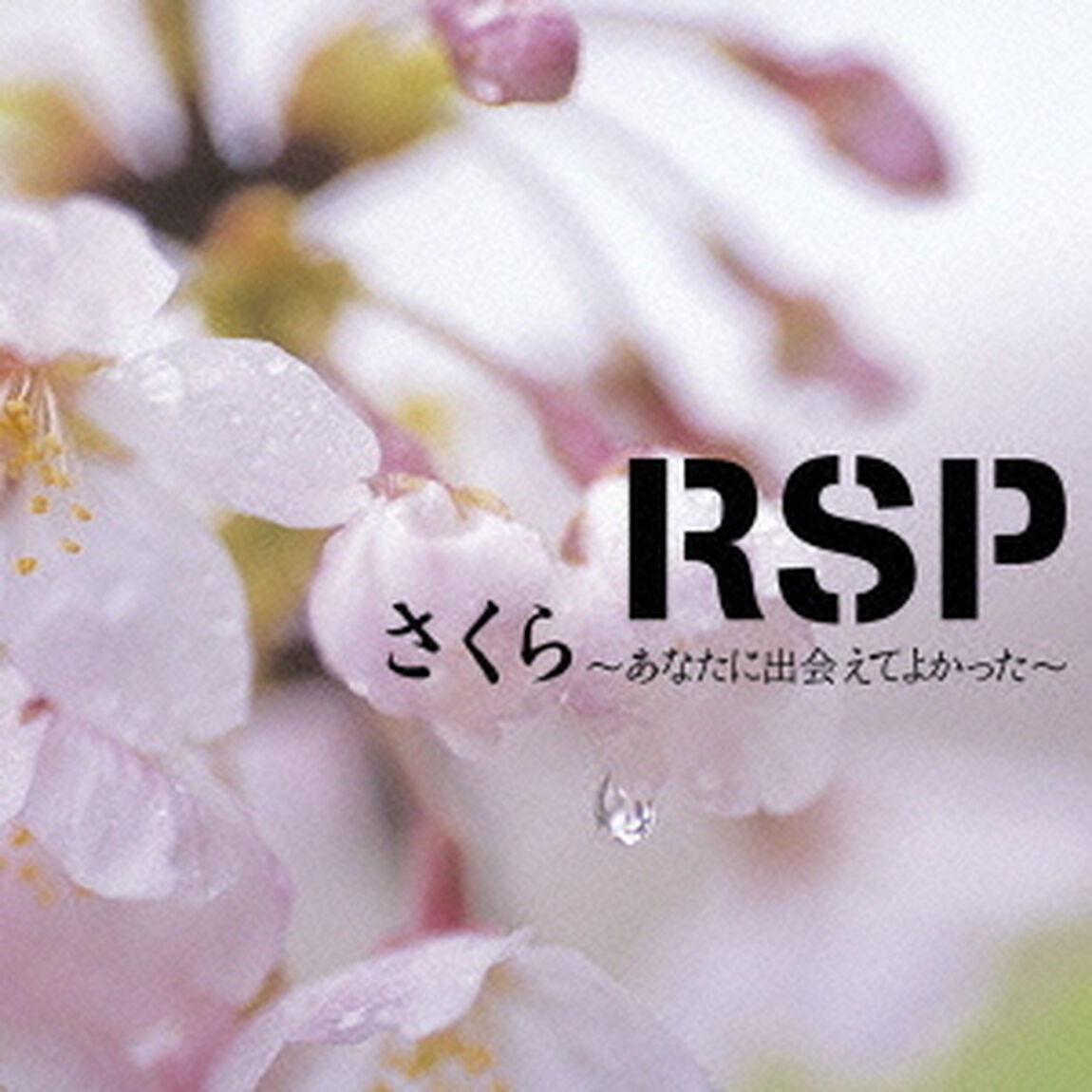 さくら　〜あなたに出会えてよかった〜（CDシングル）