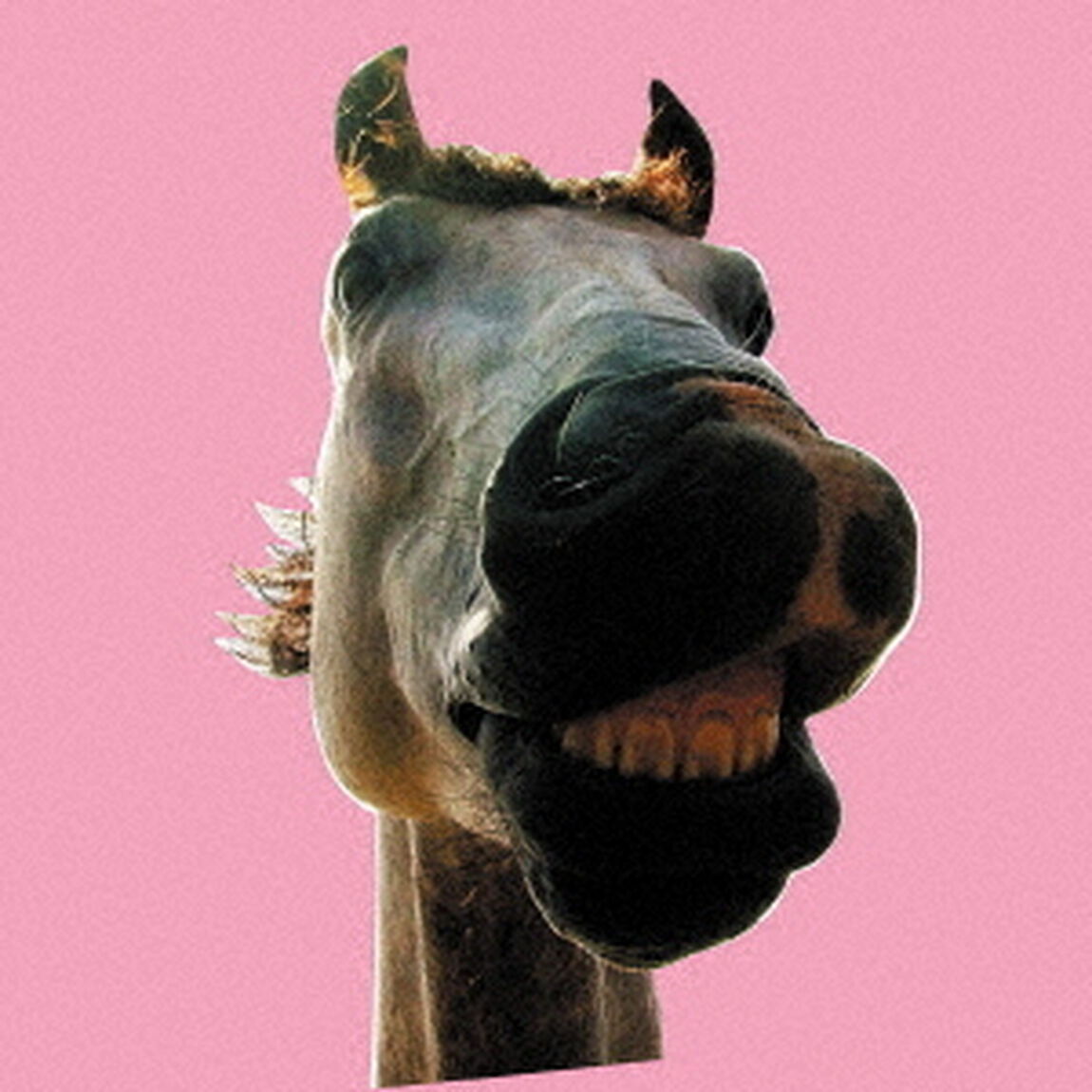 THE　HIGH－LOWS／Do！！The★MUSTANG（ＣＤ）