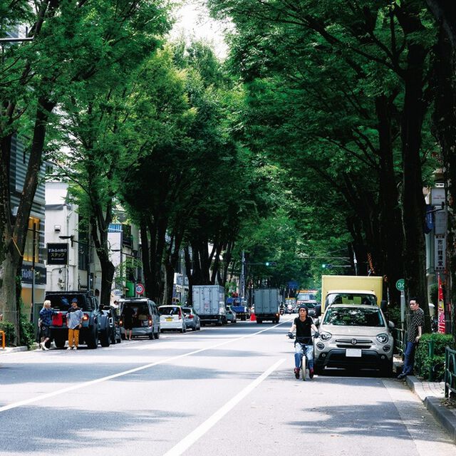 ストレイテナー／The Ordinary Road （初回限定盤B／CD+Blu-ray）（ＣＤ）