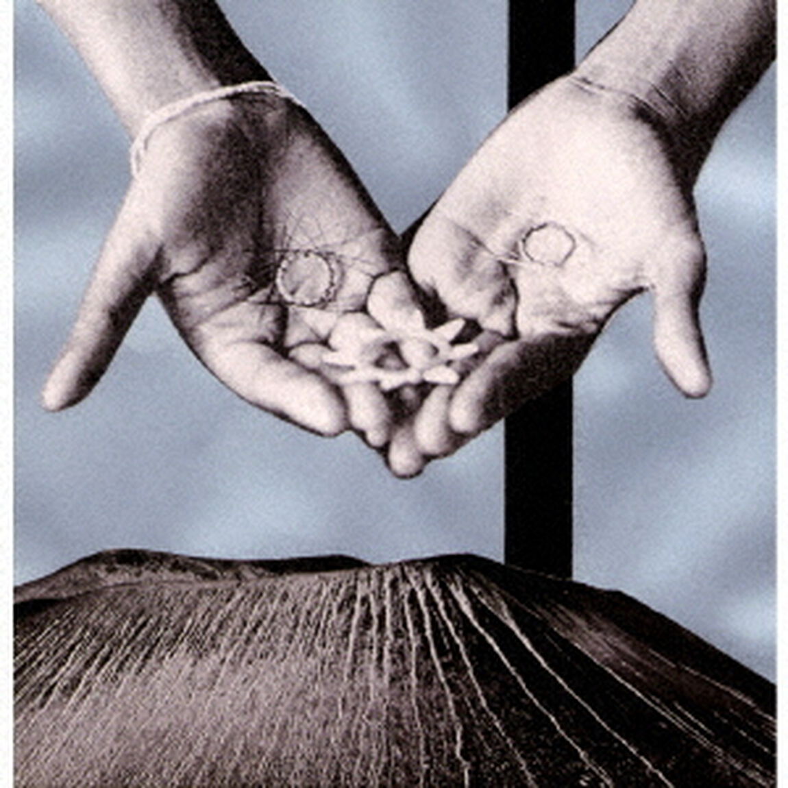 pessim（ＣＤ）