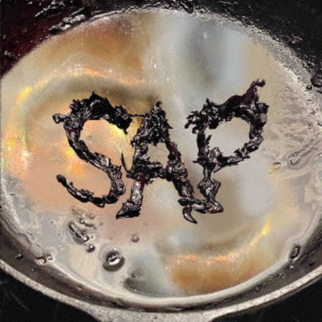 SAP（ＣＤ）