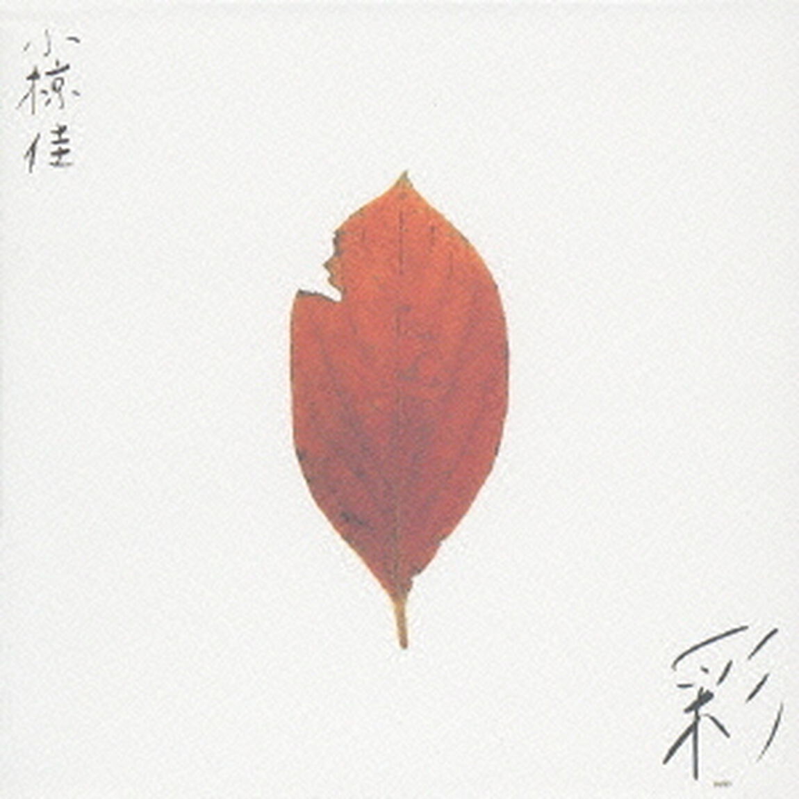 彩影（ＣＤ）