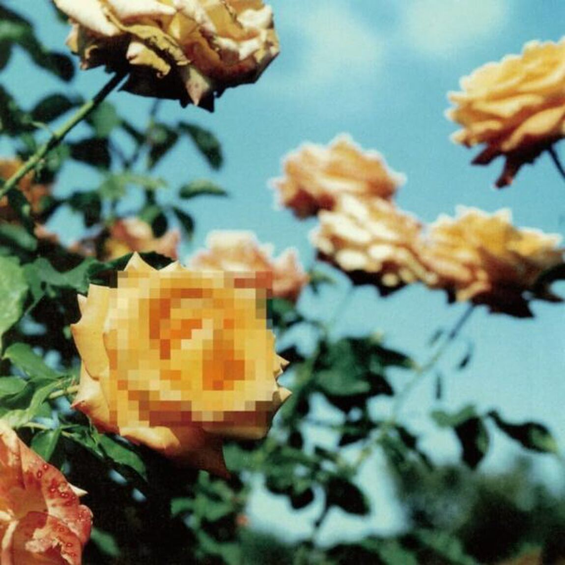 Relation（LP盤（アナログ盤））
