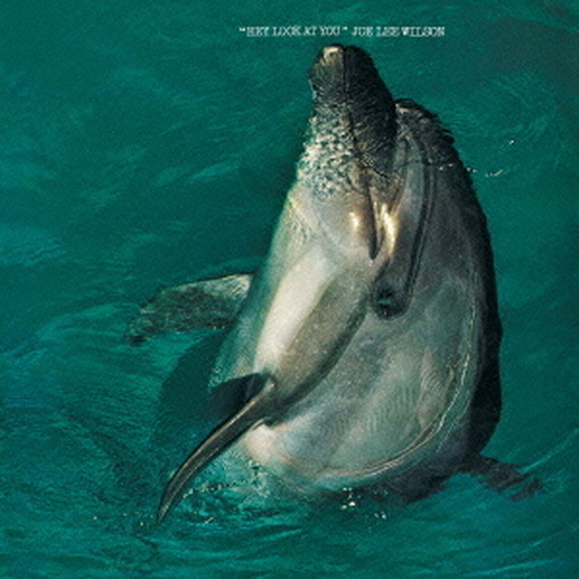 ヘイ・ルック・アット・ユー（ＣＤ）