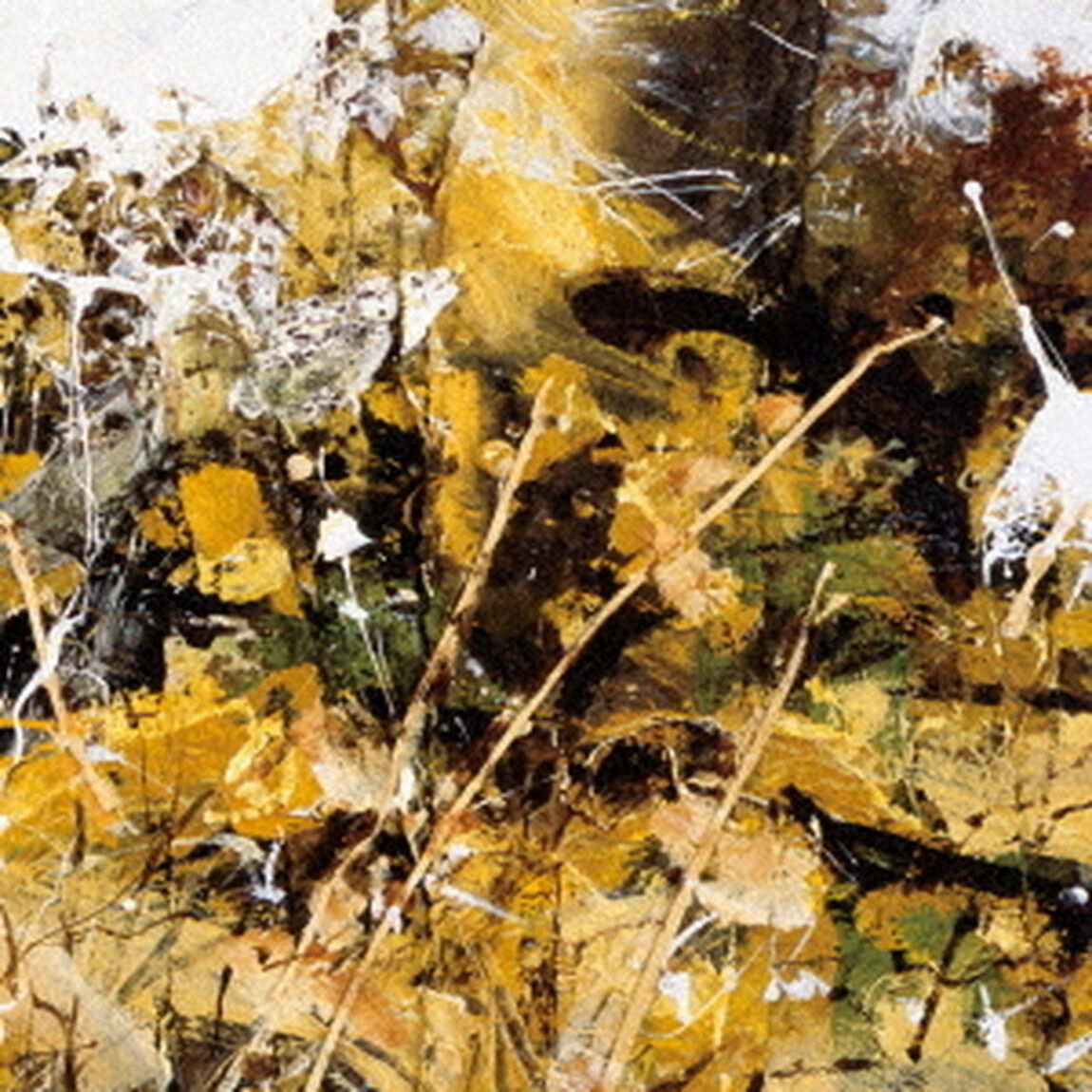 Notes　On　Belonging（ＣＤ）