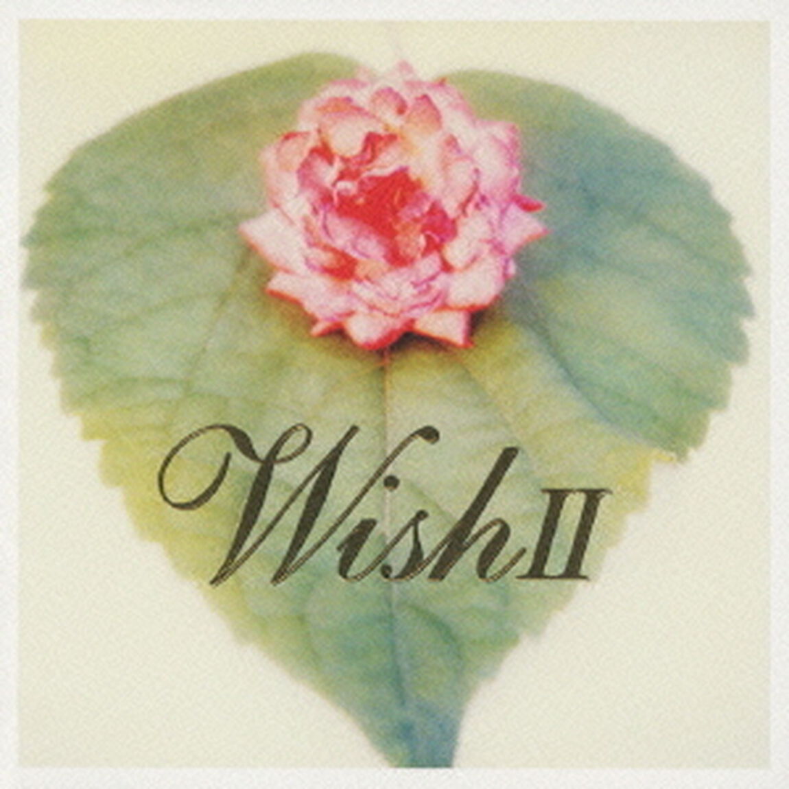 Wish　Ⅱ（ＣＤ）