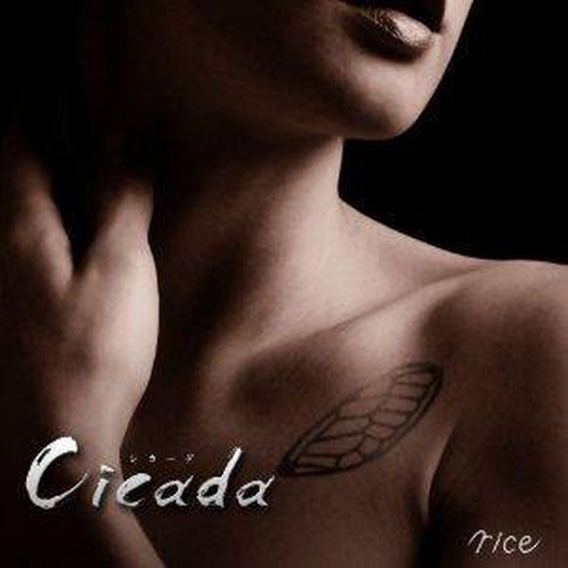 Cicada（ＣＤ）