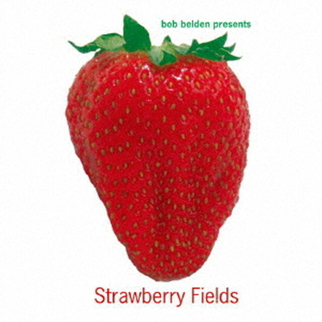 ストロベリー・フィールズ（ＣＤ）