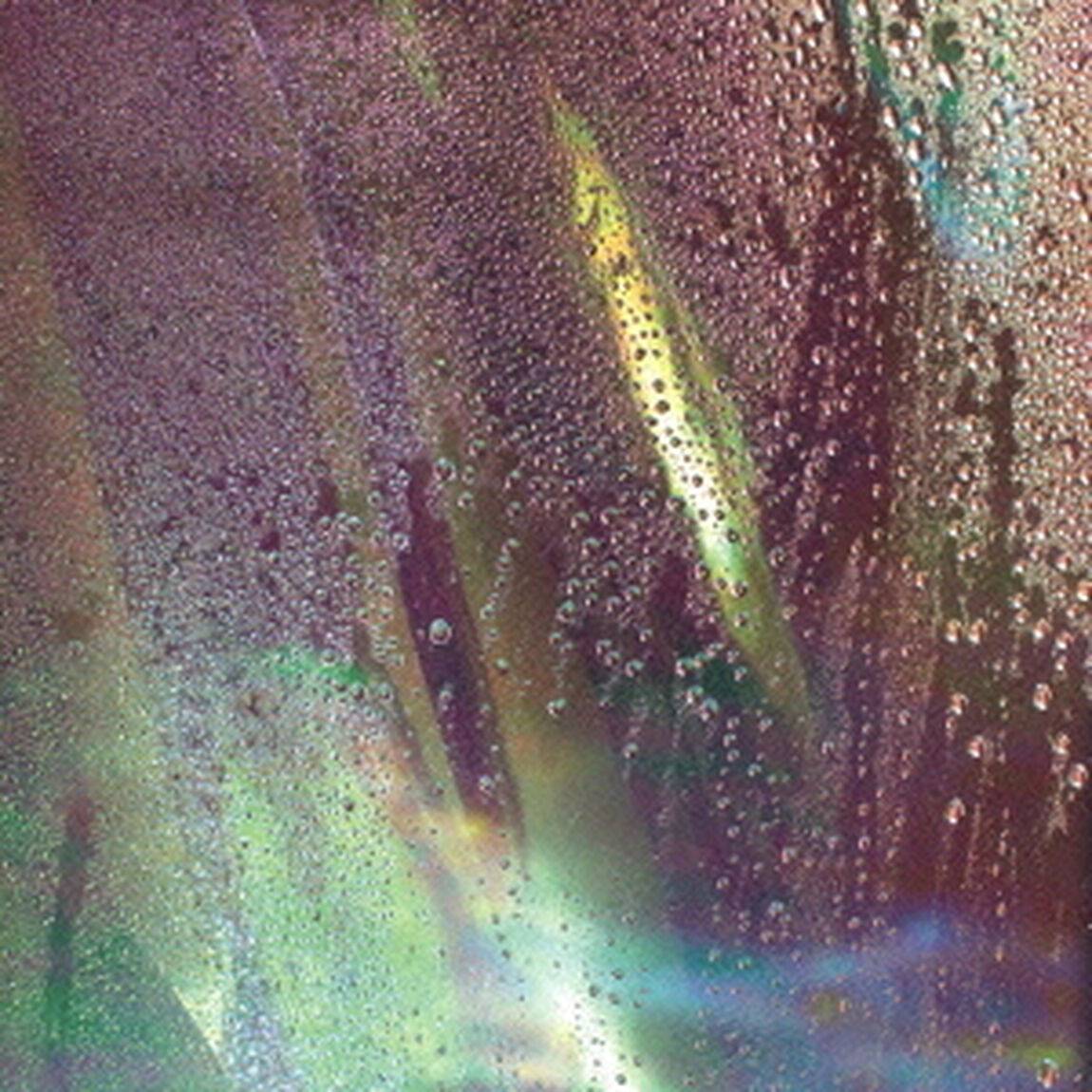くちづけ（ＣＤ）