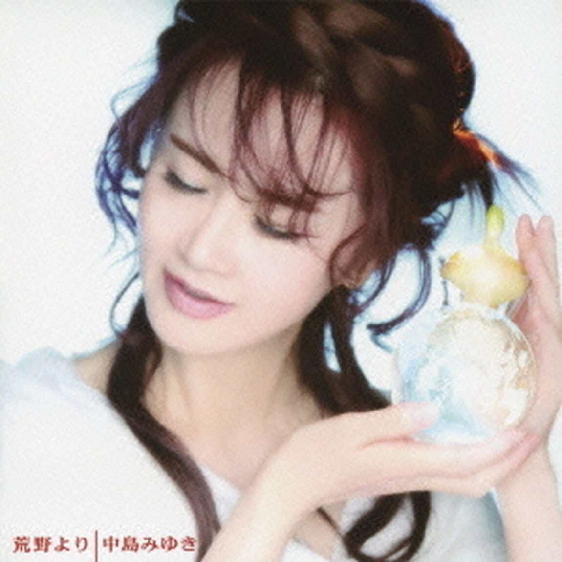 荒野より（ＣＤ）
