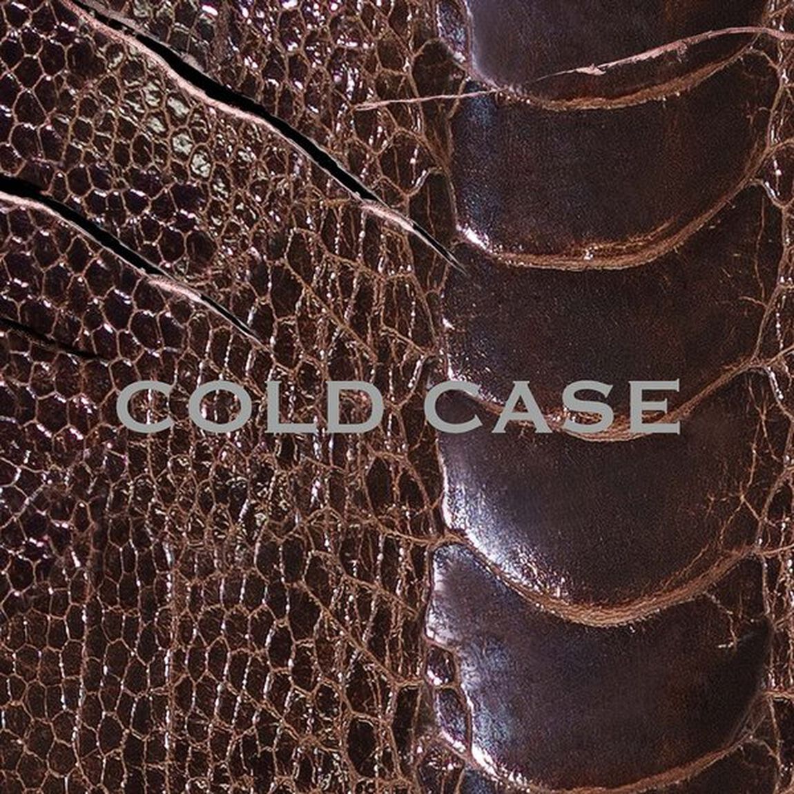 COLD　CASE（ＣＤ）