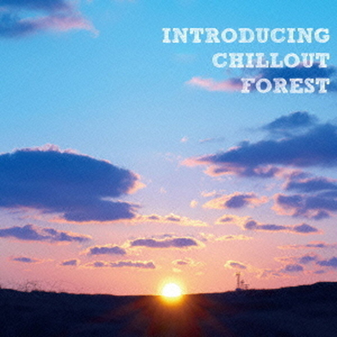 INTRODUCING　CHILLOUT　FOREST（ＣＤ）