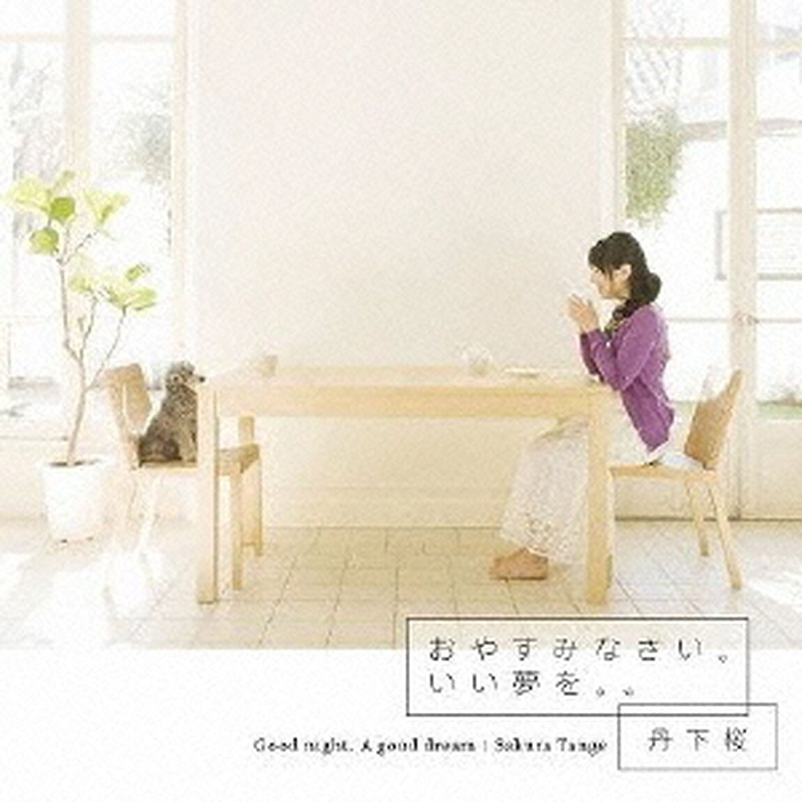 おやすみなさい。いい夢を。。（ＣＤ）