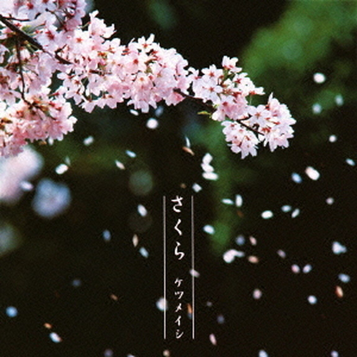 さくら（ＣＤ）