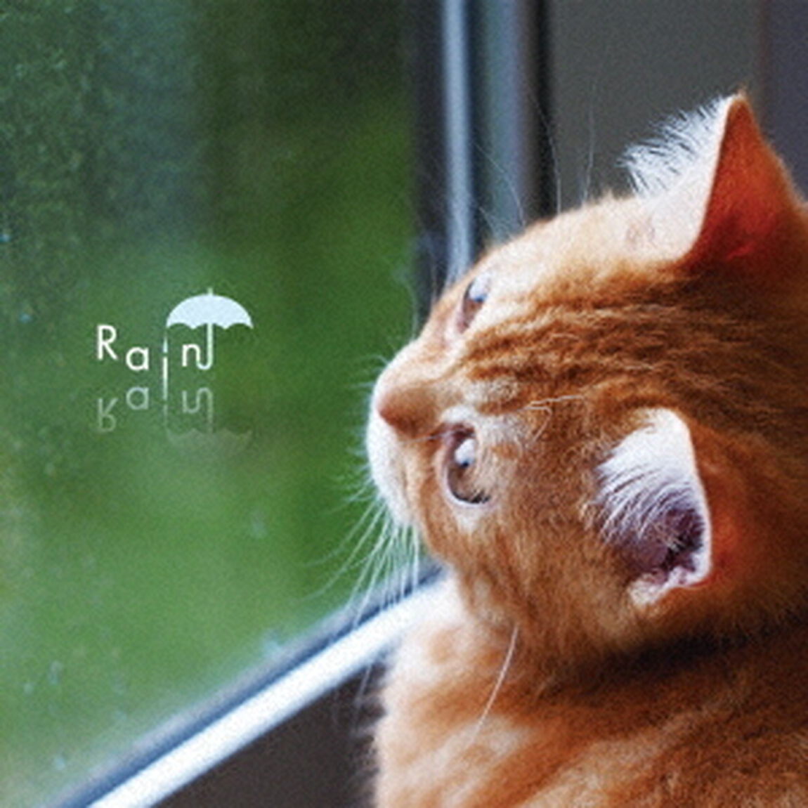 まるごと！雨の日（ＣＤ）