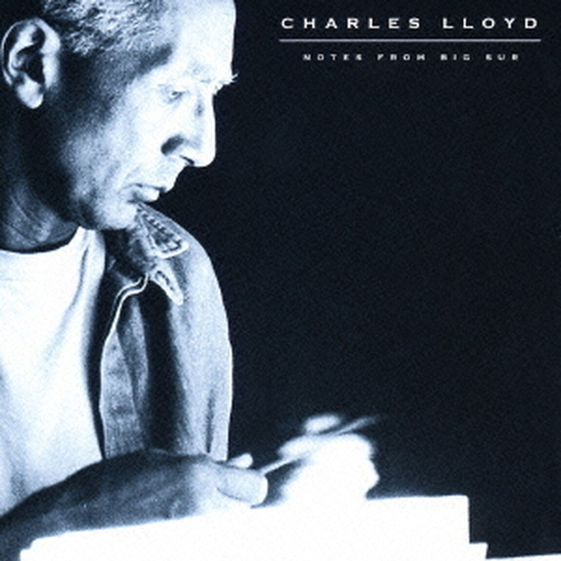 ノーツ・フロム・ビッグ・サー（ＣＤ）