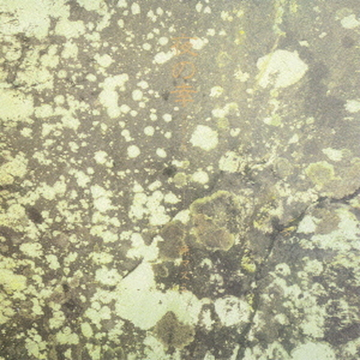 夜の幸（ＣＤ）