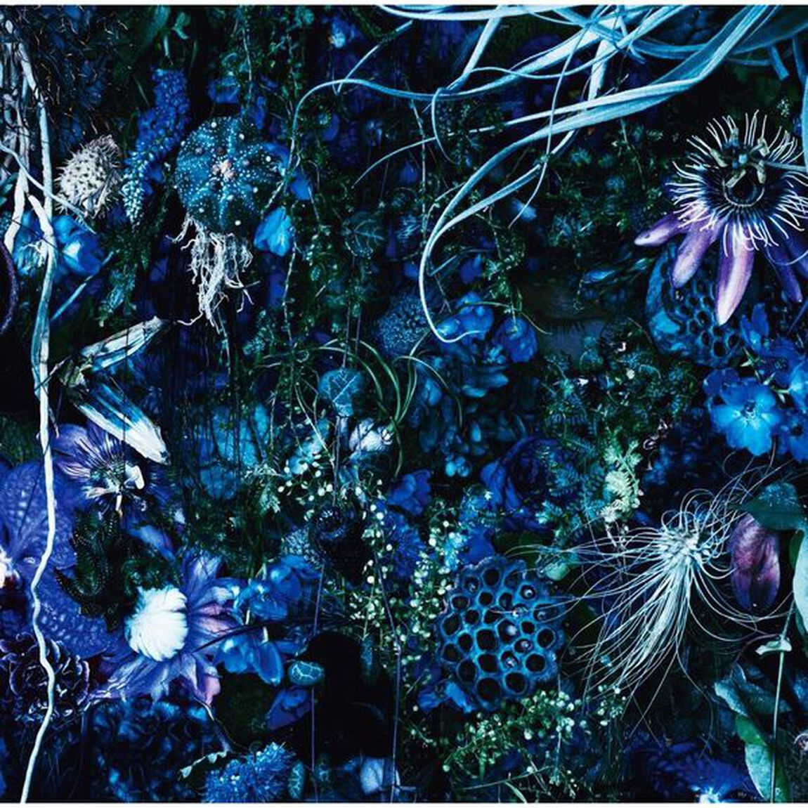 SUGIZO／ONENESS M（初回生産限定盤）（アナログ盤）（LP盤（アナログ盤））