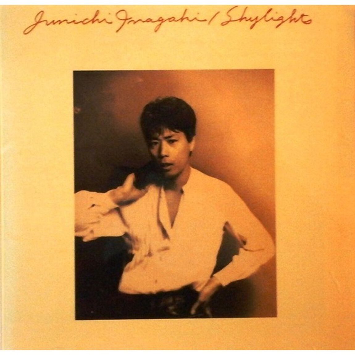 Shylights（ＣＤ）