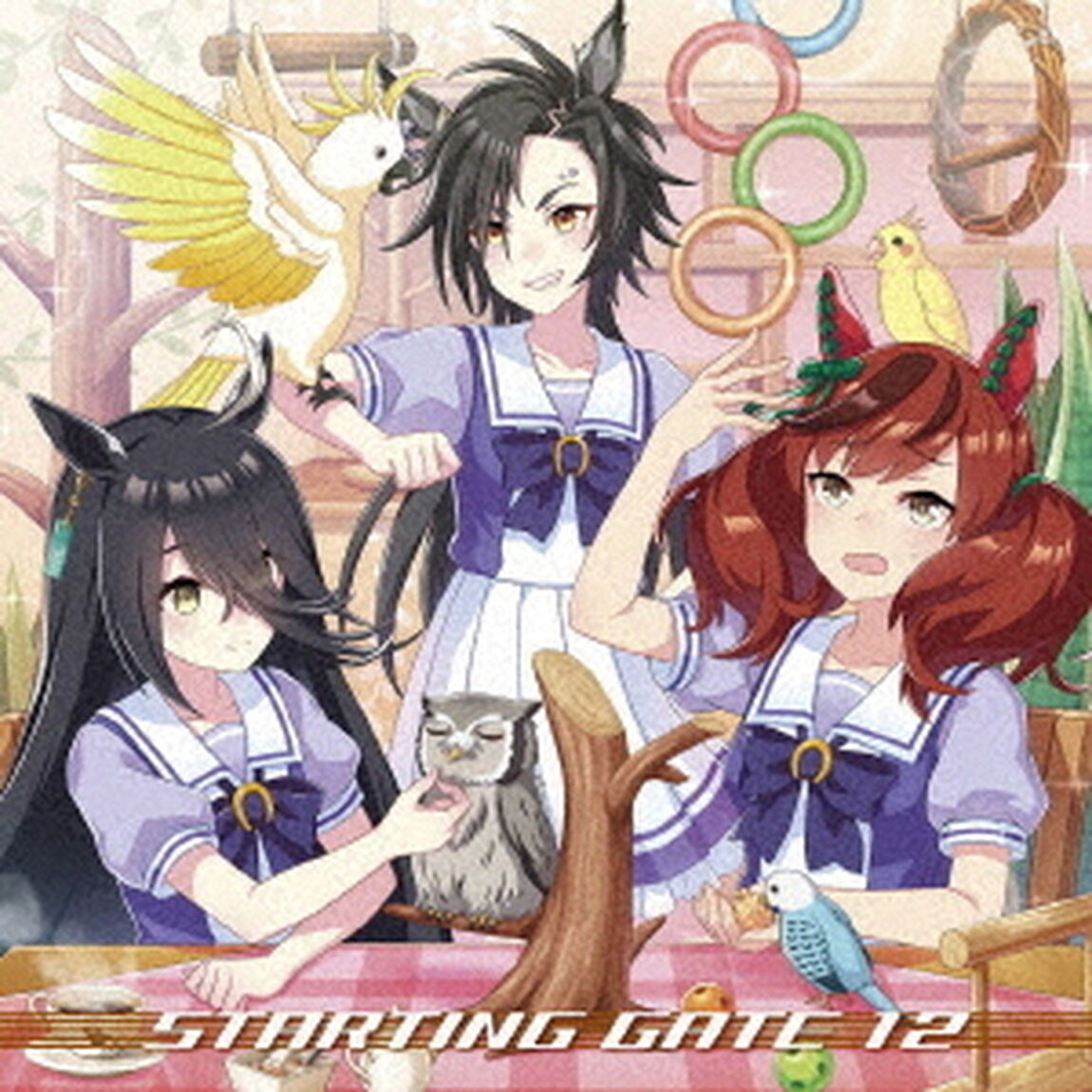 ゲーム『ウマ娘　プリティーダービー』STARTING　GATE　12＜セブンネット限定特典：ブロマイド＞（ＣＤ）